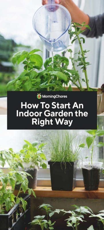 How To Start An Indoor Garden The Right Way Indoor Water Garden
