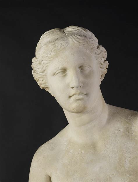 Statue Vénus De Milo Louvre Collections