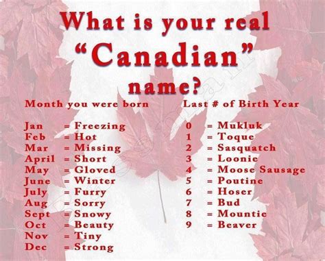 just for the fun of it photo canadian memes canada funny canadian humor