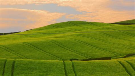 Beautiful Summer Green Grass Field Slope Under Sky Hd Nature Wallpapers