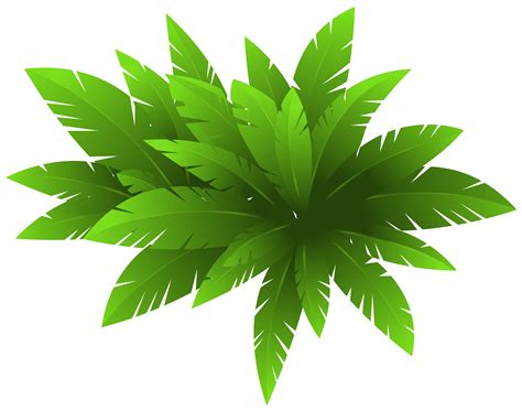 Cartoon Plants Png Free Logo Image