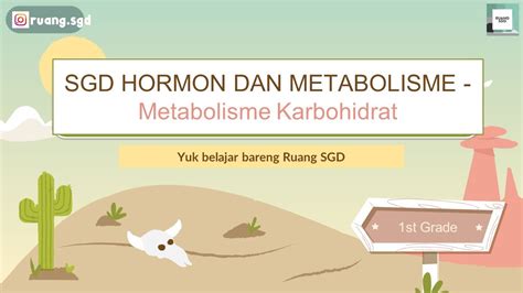 Terminologi Karbohidrat Dan Kolesterol Metabolisme Karbohidrat Part 1