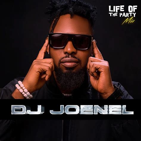 ‎life Of The Party Mix Dj Joenel Sensational Party Dj Mix Album