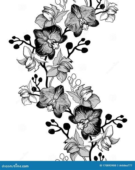 Monochrome Floral Seamless Border With Hand Drawn Flowers Stock