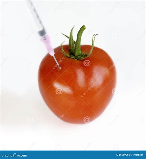 Genetically Modified Food Concept Image Stock Photo Image Of Inject