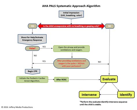 Pals Systematic Approach Algorithm Pals Algorithm Pals Algorithm