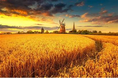 Field Sunset Wheat Windmill Wallpapers Chromebook Resolution