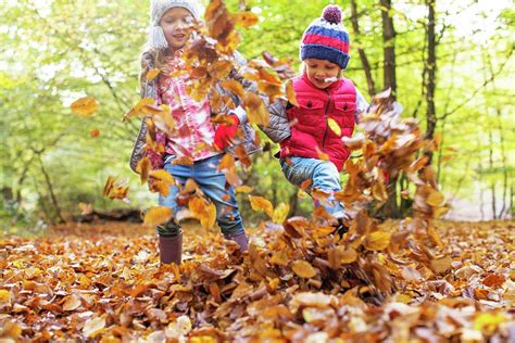 Children Playing In Autumn Leaves Photograph By Science Photo Library