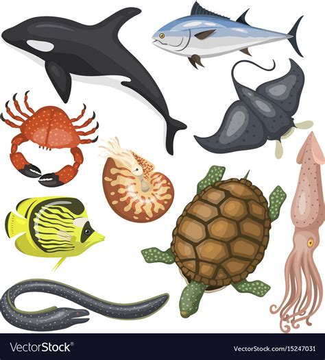 Set Of Different Types Of Sea Animals Royalty Free Vector