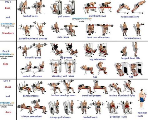 Workout Plans To Start Using Pin Routine Reference Now