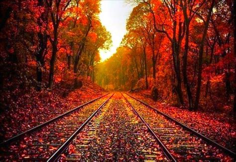 All orders are custom made and most ship worldwide within 24 hours. Autumn leaves on the rails - HD wonderful wallpaper