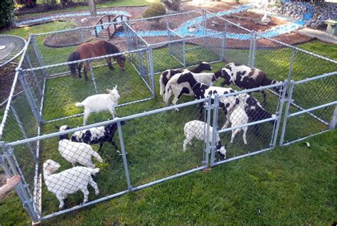 An open area where small or young animals are kept that children can hold, touch, and sometimes…. Rates|Mobile Petting zoo pricing, packages and options ...