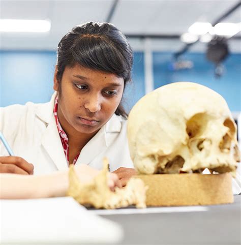 Forensic Archaeology And Anthropology Bsc Hons Degree University Of