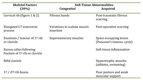 Thoracic Outlet Syndrome Anaesthesia Tutorial Of The Week 286 Wfsa