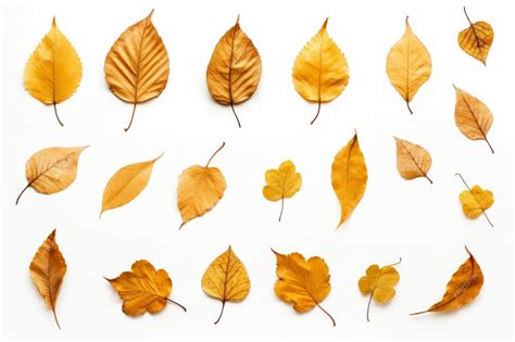 Premium AI Image | Falling into Serenity Captivating Dried Autumn