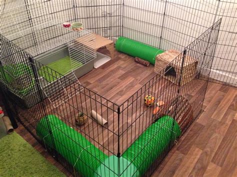 diy bunny cage ideas indoor bunny cage diy bunny cage bunny cages indoor bunny cage just