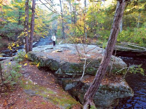 10 Hiking Trails to Try With Your Family - Local hiking...