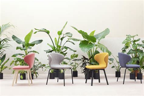 Eco Sustainability In The Furniture Planet