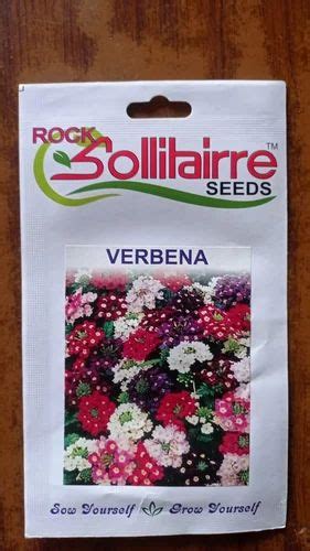 Hybrid Rock Solitaire Verbena Seeds For Plantation Packaging Type