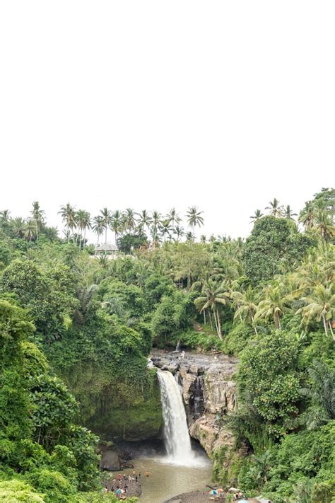 Waterfall Deep In The Tropical Rain Forest Of Ubud Tropical Bali