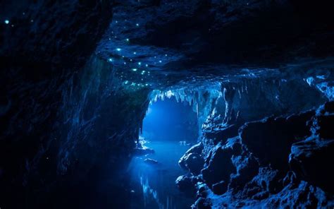 Glowing Grubs Light Up Underwater Caves Underwater Caves Dark Cave