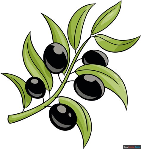 How To Draw An Olive Branch Really Easy Drawing Tutorial