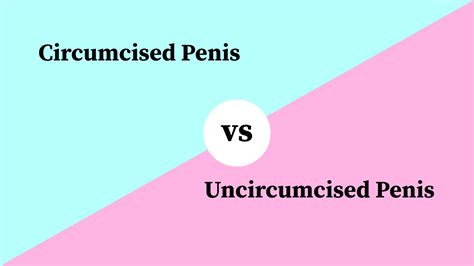 Differences Between Circumcised Penis And Uncircumcised Penis