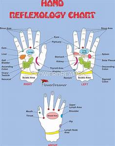 Quot Hand Reflexology Chart Quot By Flowerdreamer Redbubble