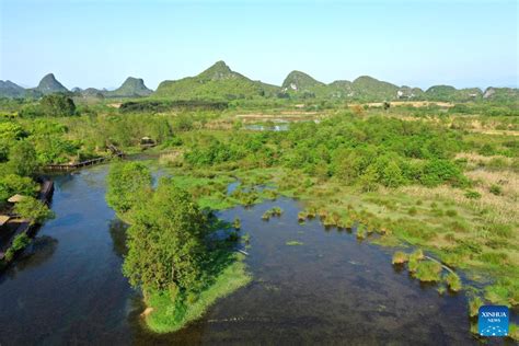 Scenery Of Huixian Wetlands In Guangxi Cn