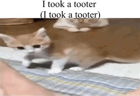 Goober Silly Gif Goober Silly Silly Cat Discover Share Gifs My XXX Hot Girl