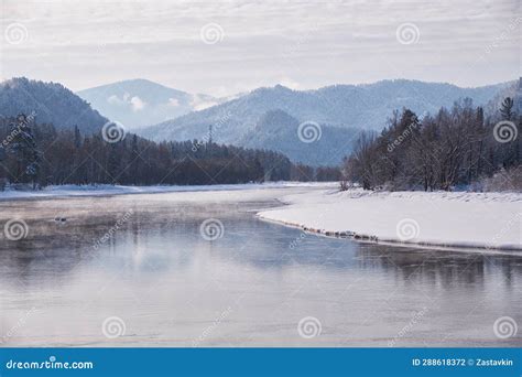 Altai River Biya In Winter Season Banks Of River Are Covered By Ice
