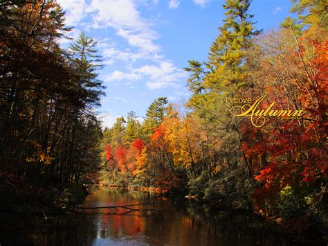Fall Wallpapers Fall Facebook Covers Fall Printables By