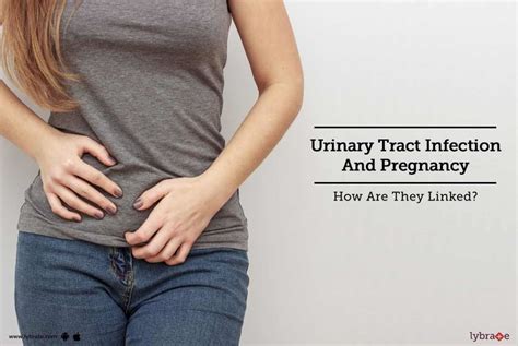 Urinary Tract Infection And Pregnancy How Are They Linked By Dr Veena Vidyasagar Lybrate