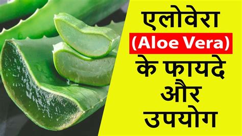 एलोवेरा Aloe Vera के फायदे और उपयोग Aloe Vera Gel Benefits For Face