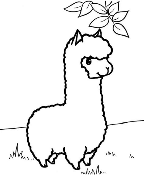 Https://tommynaija.com/coloring Page/alpaka Coloring Pages For Kids