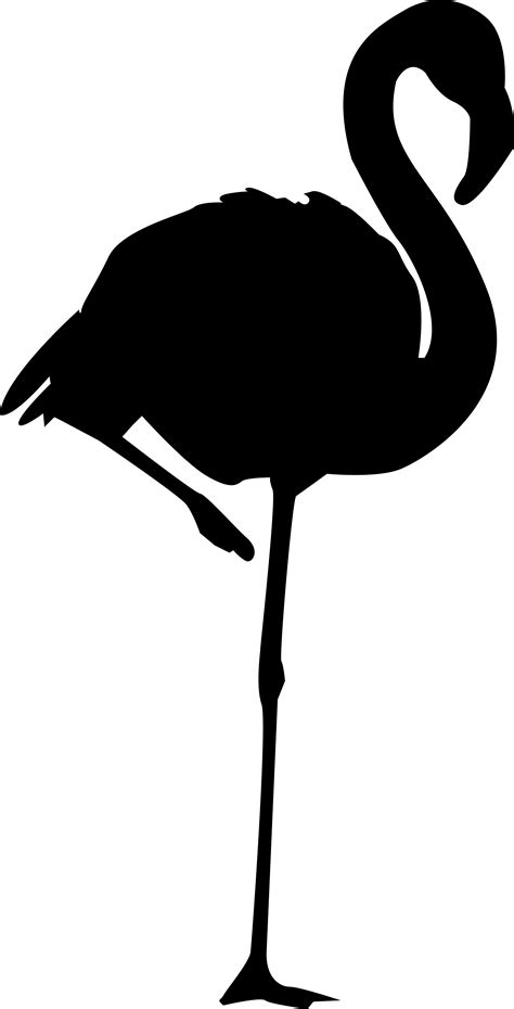 Flamingo Silhouette At Getdrawings Free Download