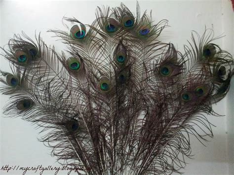 My Craft Gallery Peacock Feather Ideas