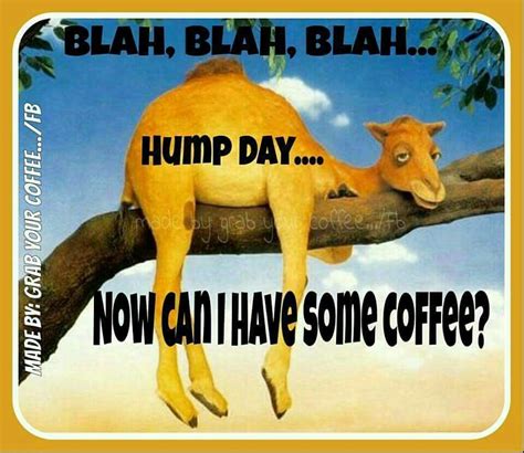 Blah Blah Blah Hump Day Can I Have Coffee Good Morning Wednesday Wednesday Hump Day Funny