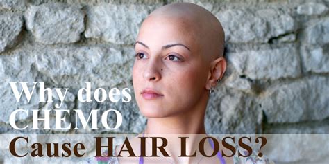 Hair loss is very common during chemotherapy for breast cancer as well as other cancers, though some drugs the drugs or combination of drugs you receive: Why does CHEMO Cause HAIR LOSS ? - Medical Yukti