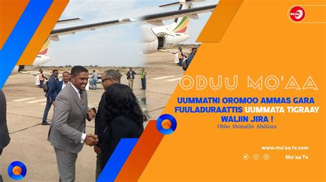 Oduu Moaa Uummatni Oromoo Ammas Gara Fuuladuraattis Uummata Tigraay