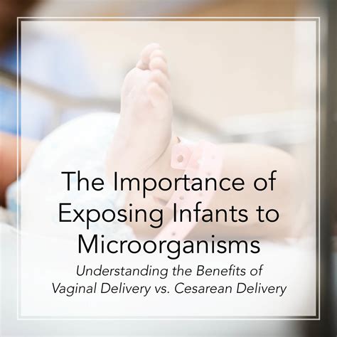 Why Exposing Infants To Microorganisms Is A Good Thing — Aim