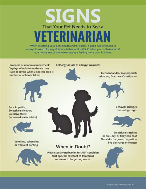 Veterinary Infographics Marketing Infographic For Veterinarians