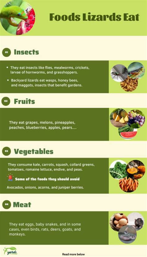 What Do Garden Lizards Eat Quick And Easy Guide