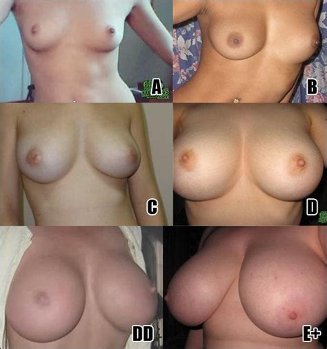 Topless Girls Comparing Breasts