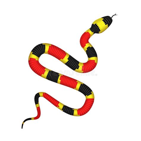 Coral Snake Vector Stock Illustrations 866 Coral Snake Vector Stock
