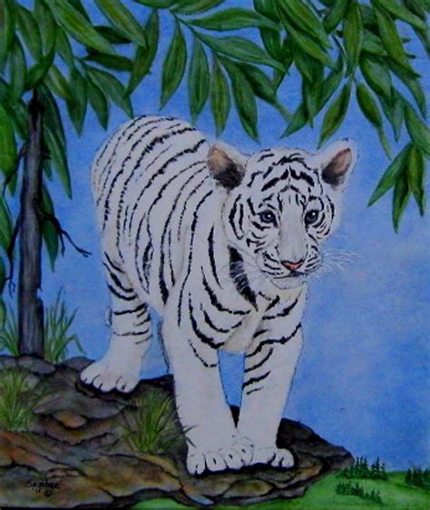 White Tiger Cub On Watch Painting By Sandra Maddox