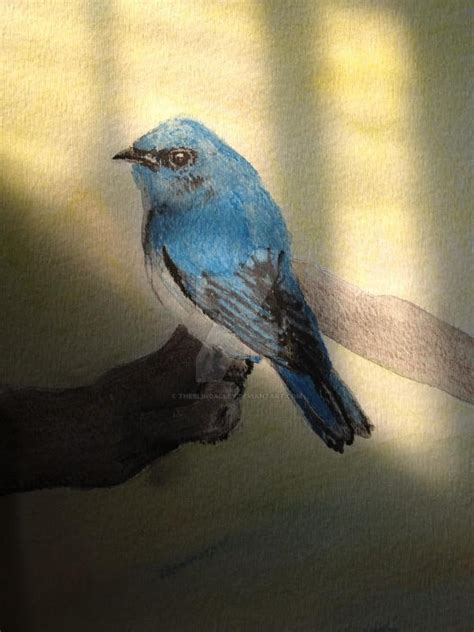 Blue Bird Color Pencil By Theblindalley On Deviantart
