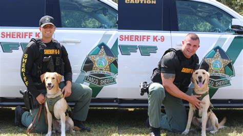 Meet The New Pasco County K 9 Officers