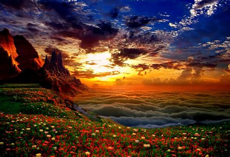 Nature Clouds Flowers Background 1440x900 🔥 Top Free Download Pictures
