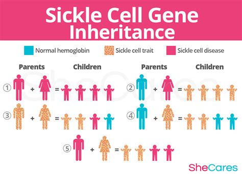 Sickle Cell Disease And Getting Pregnant Shecares